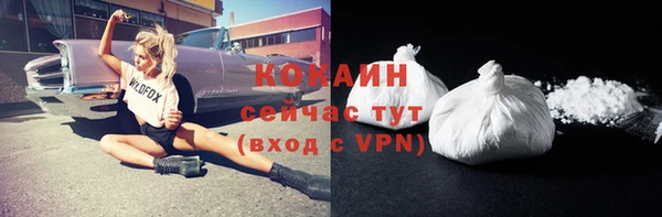 первитин Няндома