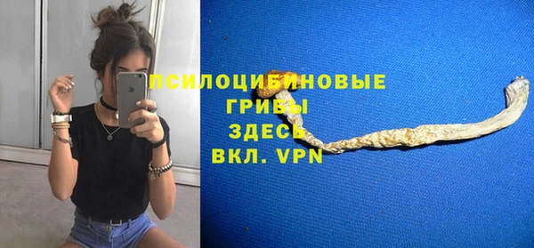 первитин Няндома