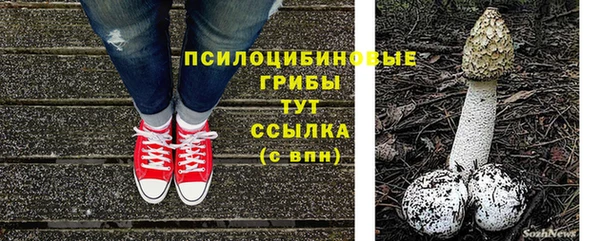 скорость Новодвинск