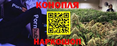 крисы Гусь-Хрустальный
