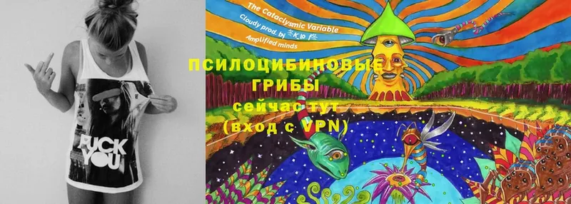 Псилоцибиновые грибы Magic Shrooms  гидра маркетплейс  Зерноград 