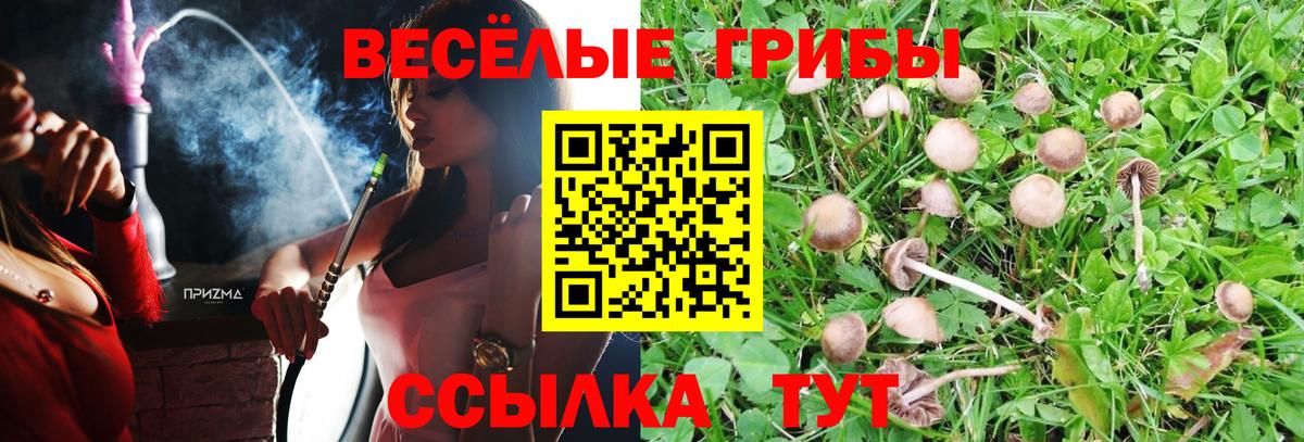 Зерноград  Псилоцибиновые грибы GOLDEN TEACHER  Вход с VPN  Псилоцибиновые грибы ЛСД 