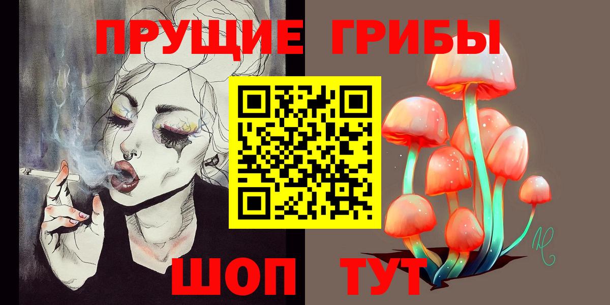 Галлюциногенные грибы MAGIC MUSHROOMS  Зерноград  хочу наркоту  Псилоцибиновые грибы Cubensis 
