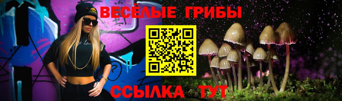 Галлюциногенные грибы GOLDEN TEACHER Зерноград