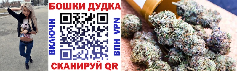 Каннабис план Зерноград