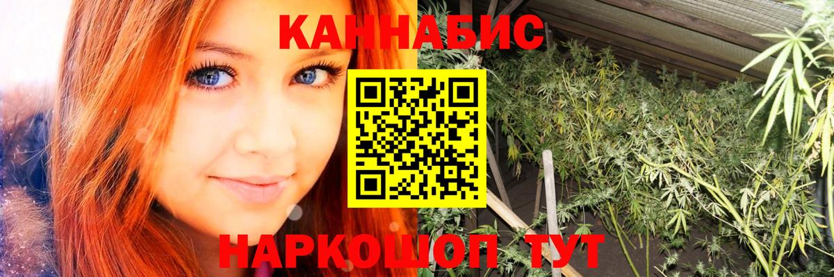 Бошки марихуана Bruce Banner Зерноград