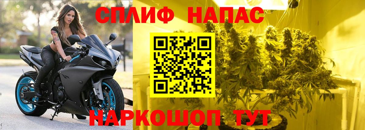 МАРИХУАНА семена  Вход с VPN  Зерноград  Бошки Шишки Ganja  Шишки марихуана ГИДРОПОН 